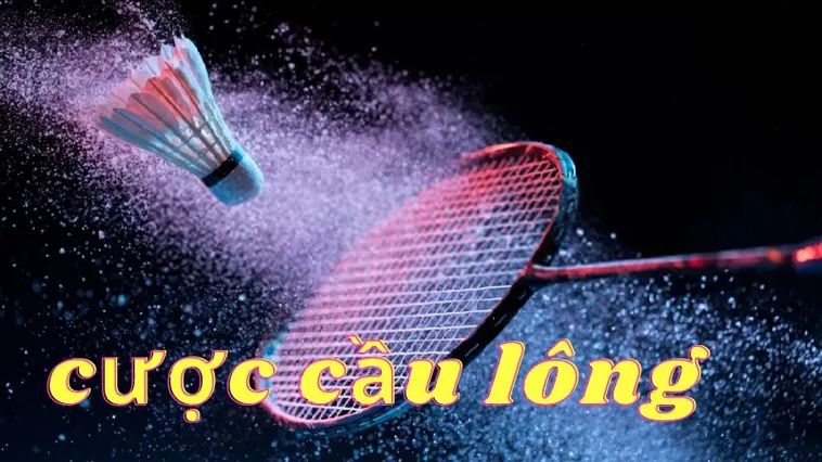 Đánh Bại Nhà Cái Với Bí Kíp Cá Cược Cầu Lông Tại Alo789